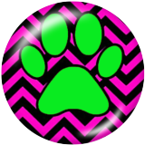 20MM Claw Print glass snaps buttons