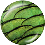 20MM Leopard Print Print glass snaps buttons