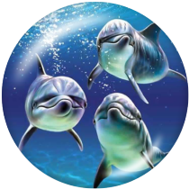 20MM marine organism Beach Ocean  Print glass snaps buttons