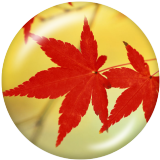 20MM maple leaves Print glass snaps buttons