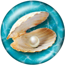 20MM shell Print glass snaps buttons  Beach Ocean