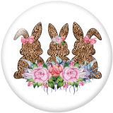 20MM Easter  Print glass snaps buttons