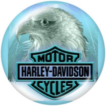 20MM Harley Motors car Print glass snaps buttons