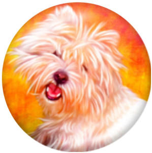 20MM dog Print glass snaps buttons