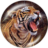 20MM  tiger Print glass snaps buttons
