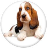 20MM dog Print glass snaps buttons