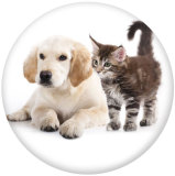 20MM dog Print glass snaps buttons