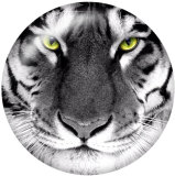 20MM  tiger Print glass snaps buttons