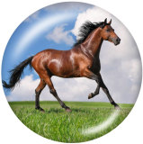20MM horse Print glass snaps buttons