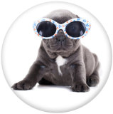 20MM dog Print glass snaps buttons