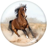 20MM horse Print glass snaps buttons