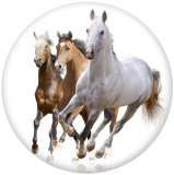 20MM horse Print glass snaps buttons