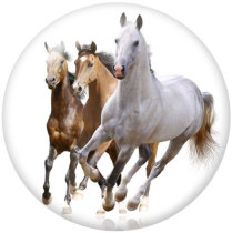 20MM horse Print glass snaps buttons