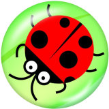20MM Ladybug Print glass snaps buttons