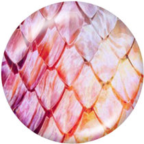20MM serpentine Print glass snaps buttons