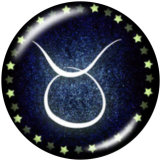 20MM Birthstone 12 constellations glass snap bottom
