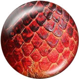 20MM serpentine Print glass snaps buttons