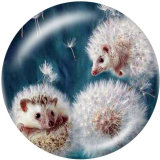 20MM hedgehog Print glass snaps buttons