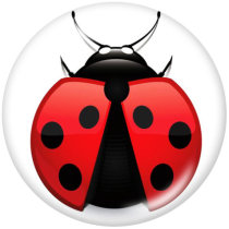 20MM Ladybug Print glass snaps buttons