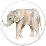 20MM animal Print glass snaps buttons
