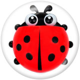 20MM Ladybug Print glass snaps buttons