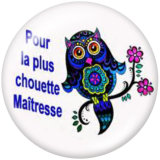 20MM teacher Print glass snaps buttons