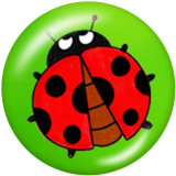 20MM Ladybug Print glass snaps buttons