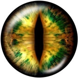 20MM eyes Print glass snaps buttons