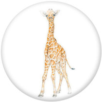 20MM animal Print glass snaps buttons