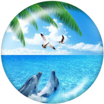 20MM seaside Print glass snaps buttons Beach Ocean