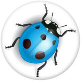20MM Ladybug Print glass snaps buttons