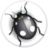 20MM Ladybug Print glass snaps buttons
