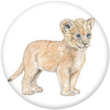 20MM animal Print glass snaps buttons