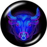 20MM Birthstone  12 constellations glass snap bottom