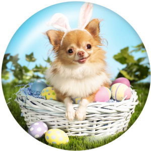 20MM Easter Print glass snaps buttons