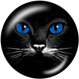 20MM cat Print glass snaps buttons