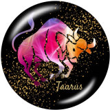 20MM Birthstone 12 constellations glass snap bottom
