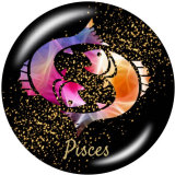 20MM Birthstone 12 constellations glass snap bottom