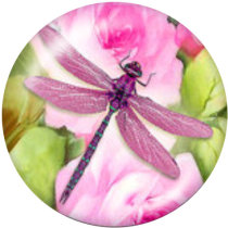 20MM dragonfly  Print glass snaps buttons