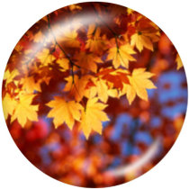 20MM Thanksgiving glass snaps buttons