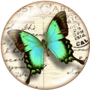 20MM butterfly Print glass snaps buttons