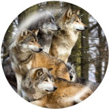 20MM wolf Print glass snaps buttons