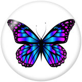20MM butterfly Print glass snaps buttons