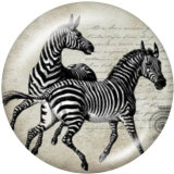 20MM animal Print glass snaps buttons