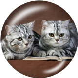 20MM cat Print glass snaps buttons