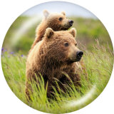 20MM MOM mama  bear Print glass snaps buttons