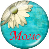 20MM family Print glass snaps buttons
