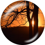 20MM Tree of life Print glass snaps buttons