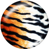 20MM  Animal pattern   Print glass snaps buttons