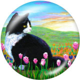 20MM cat Print glass snaps buttons